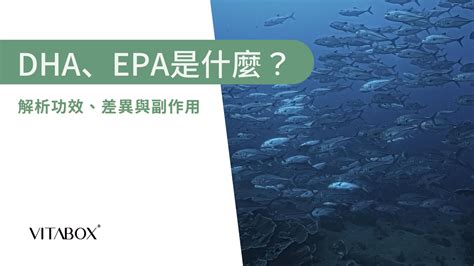 dha epa 差異